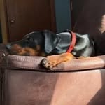 Laura Johnson Terrill - @unrulywench - Instagram