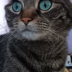 Laura Terrill - @terrill1218 - Instagram