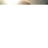 laura_terry1 - @laura_terry1 - TikTok