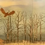 Laura Terry - @orangeboxart - Instagram