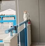 Laura Testini - Facebook