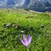 Laure Texier - Facebook