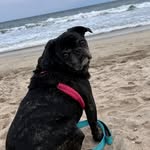 Laura Smith Thatcher - @travellikecrazee - Instagram
