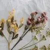 laura - @lauramatheis - TikTok