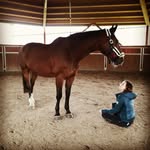 Laura Theis - @laulau.t333 - Instagram