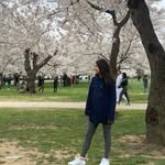 LauraTheisen - @laura__theisen - Instagram