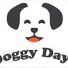 Laura Tolson - @doggy.dayz1 - TikTok