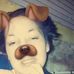 Laura Tornatore - Facebook