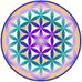 Maria Laura Tornatore - Facebook