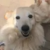 lalala - @lauratorok - TikTok