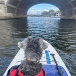laura torok - @letorok - Instagram