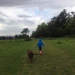Laura Town - @town.laura - Instagram