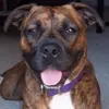 Laura Towns - @laura.towns - TikTok
