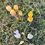 Laura Townend - @lauratoonie - Instagram