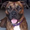 Laura Towns - @laura.towns - TikTok