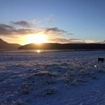 Laurie Traeger - @laurietraeger - Instagram