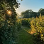 Laura on the trail - @walksnthoughts - Instagram