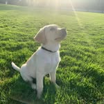 Laura Trail - @trail.laura - Instagram
