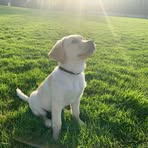 Laura Trail - Facebook