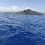Laura Trapani - Facebook