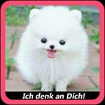 trautmann laura - @trautmannlaura09 - Instagram