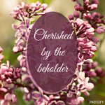 Laura Tremblay - @cherishedbythebeholder - Instagram