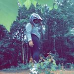 Laura Tremblay - @laura.tremblay.566 - Instagram