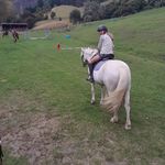 Laura Tremblay - @laura.tremblay.12 - Instagram