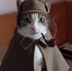 Trinchera Laura - Facebook