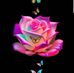 Maria Laura Trivelli - Facebook