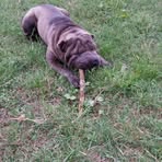 Laura Troisi - Facebook