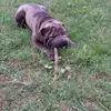 Laura Troisi - @laura.troisi47 - TikTok