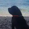 laura.troisi - @laura.troisi - TikTok