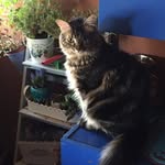 Lauretta - @laura.troisi.961 - Instagram