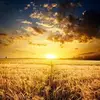 Laura Strudell - @laura.strudell - TikTok