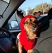 Laura Trull - Facebook
