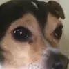 Laura Neutz - @lauraneutz - TikTok