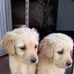 Laura Del Valle - Facebook