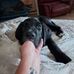 Laura Vanderpool - Facebook