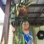 Laura Vanderpool - @old_and_slow - Instagram