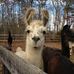 Laura Vanderpool - Facebook