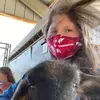 Laura VanHook - @lauravanhook - TikTok