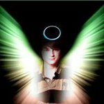Laura Vargo-Antol - @lawnshark33 - Instagram