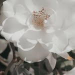 Vargovaa - @laura._vargova - Instagram