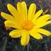 Laura Vasile - Facebook