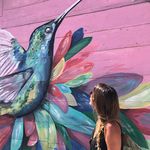 Laura Vasile - @mlauvasile - Instagram
