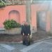 Laura Vink - Facebook