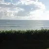 Laurie Vining - @laurie.vining - TikTok