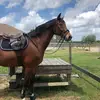 lauramarie_walser - @lauramarie_walser04 - TikTok