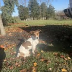 Laura Walston - Facebook